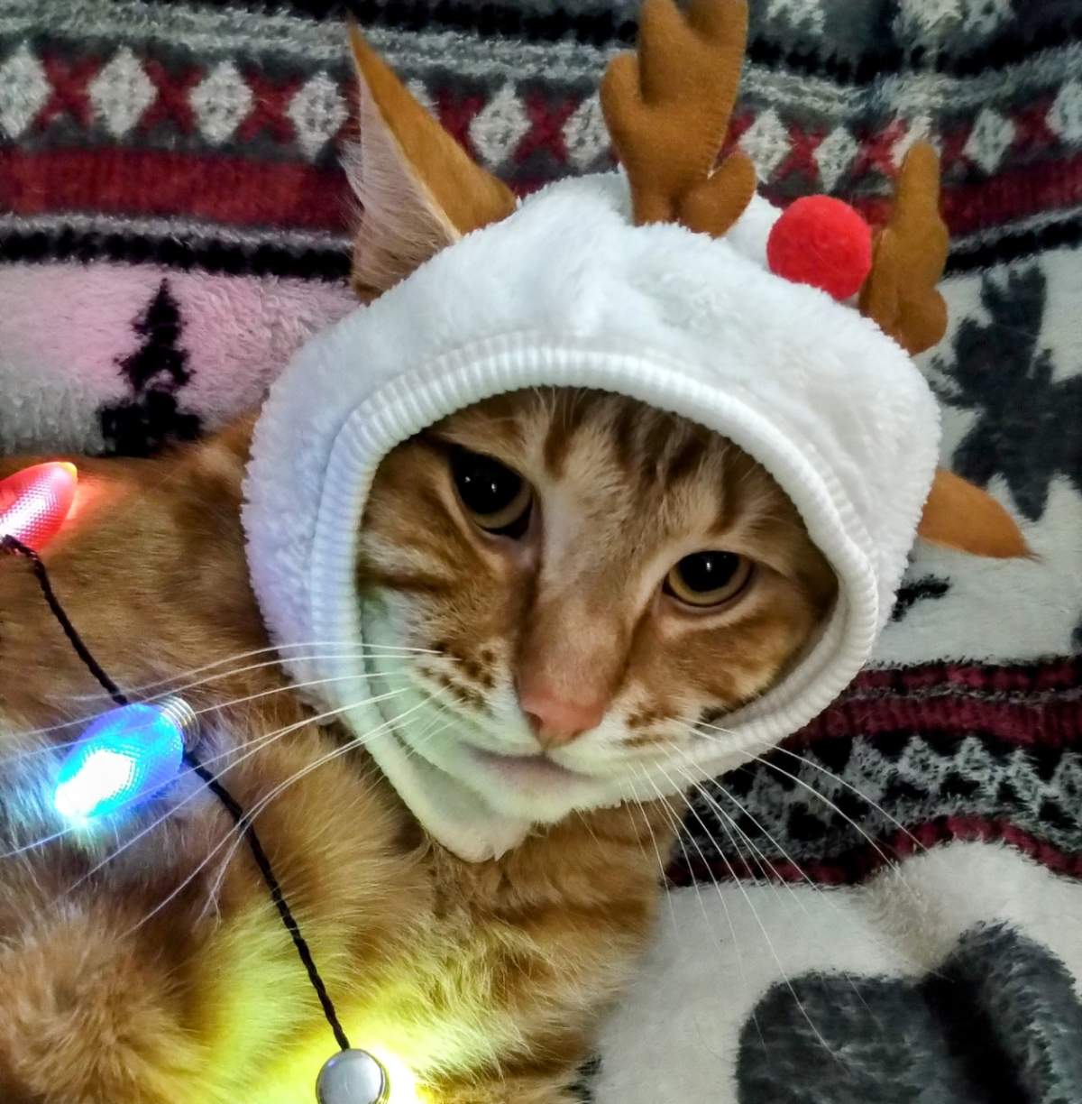 — Janet Huggins, Surrey, B.C.