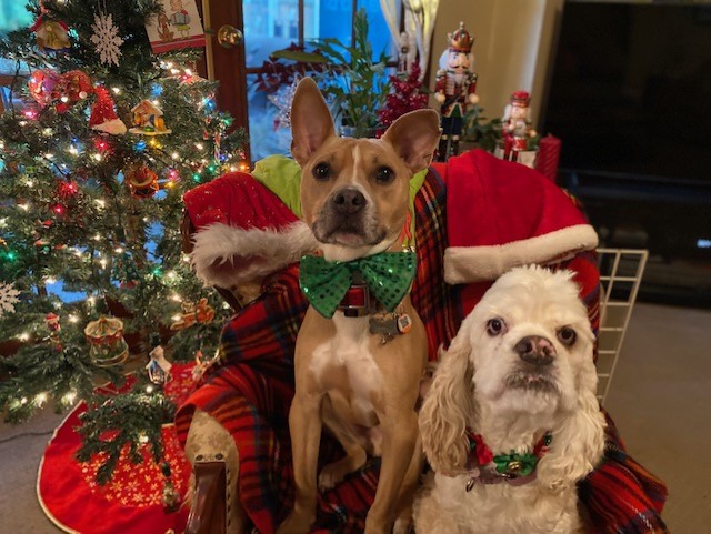 — Joanne Kendrick, Surrey, B.C.