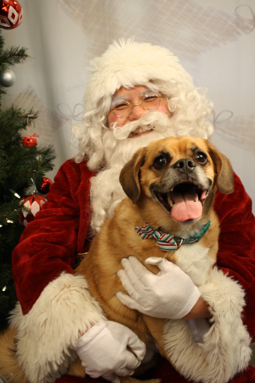 — Lisa Mitchell, Vancouver