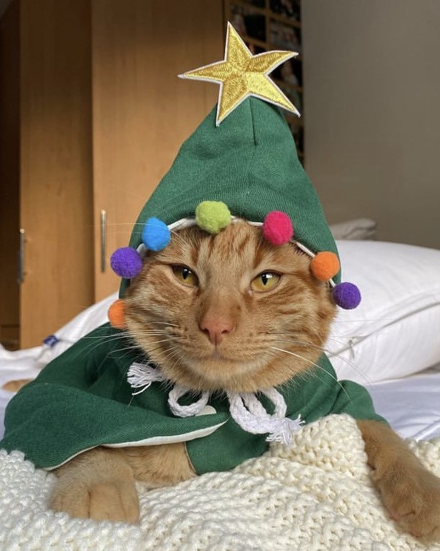 — Aliza Wedin, Banff, Alta.