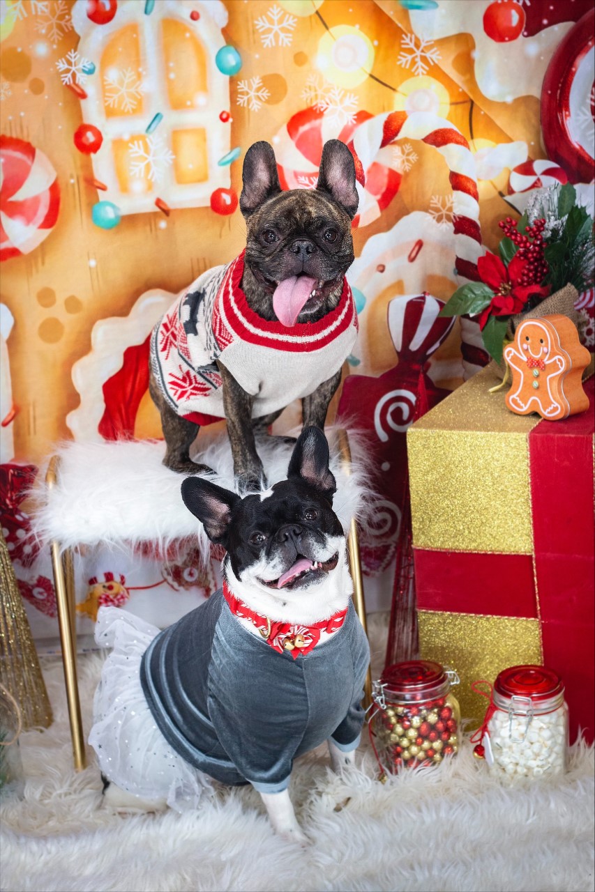 — SCAAR London, London, Ont.