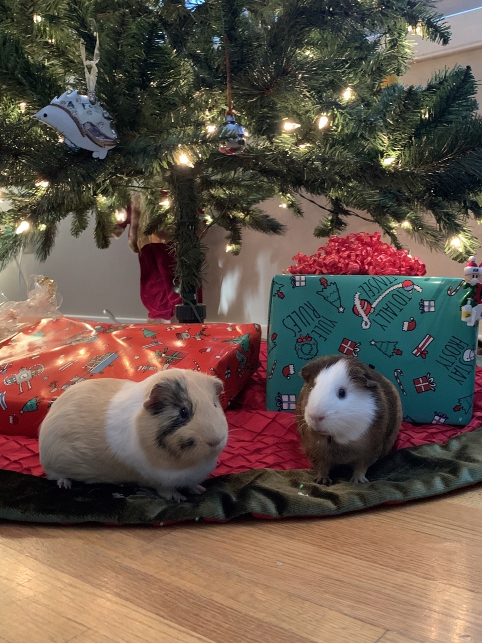 — Terri Hill, Calgary