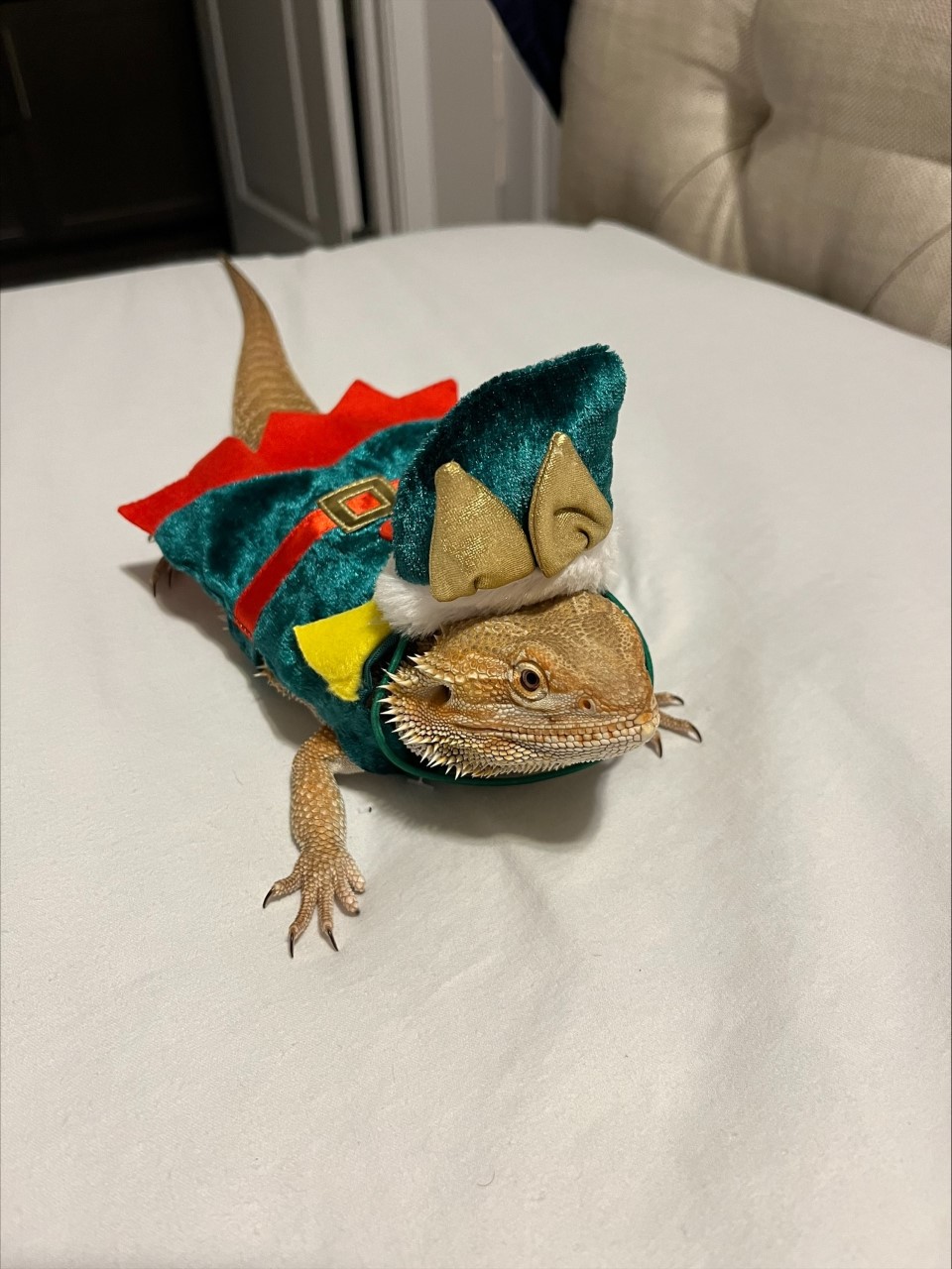 — Rachel Strate, Edmonton