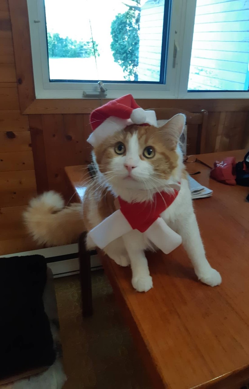 — Seven Sisters, Man.