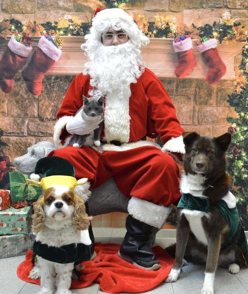 — Kari Walker, South Surrey, B.C.