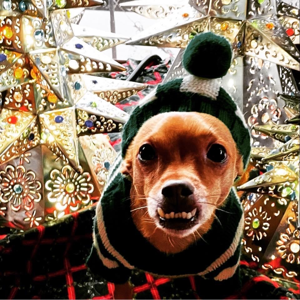 — Jan and Bob Minty, Abbotsford, B.C.