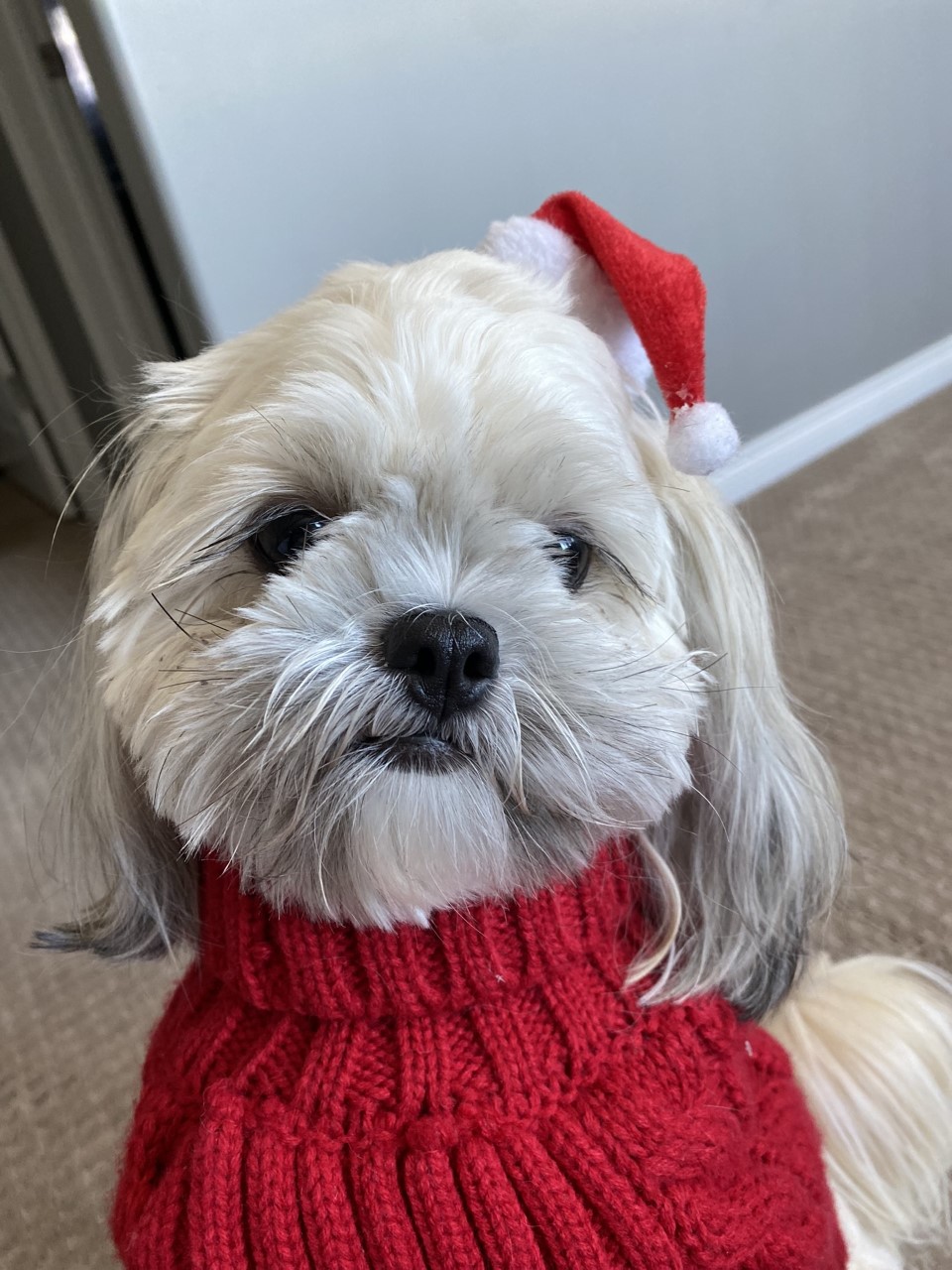 — Pia Paglicauan, Edmonton