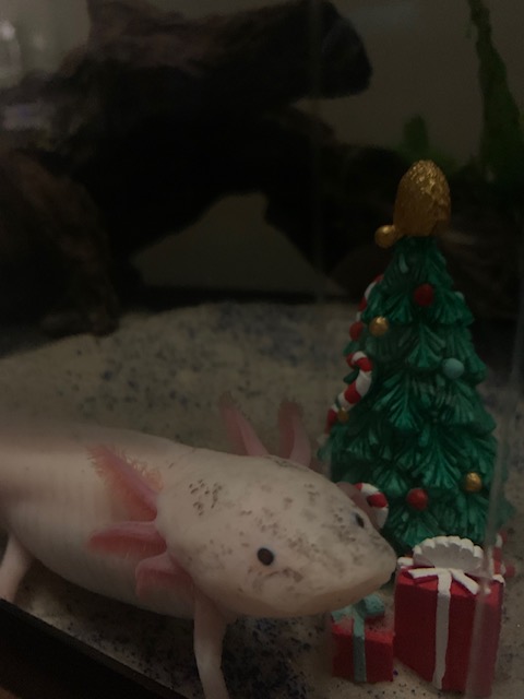 — Callie Shipton, Edmonton