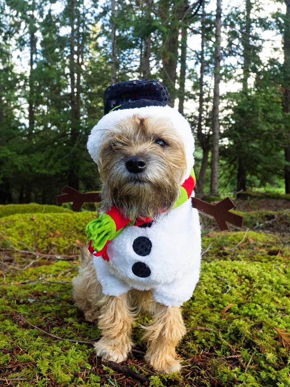 — Fernando Prado, Mayne Island, B.C.