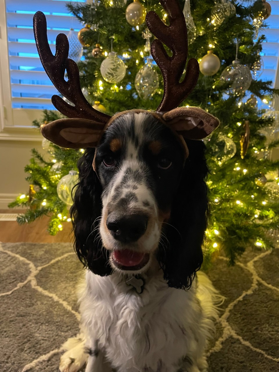 — Laurie Jackson, St. Thomas, Ont.