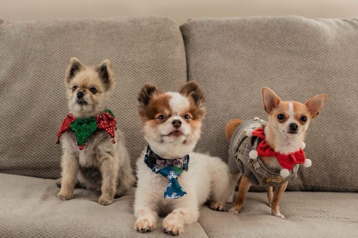 — Crystal Hartman, Lethbridge, Alta.