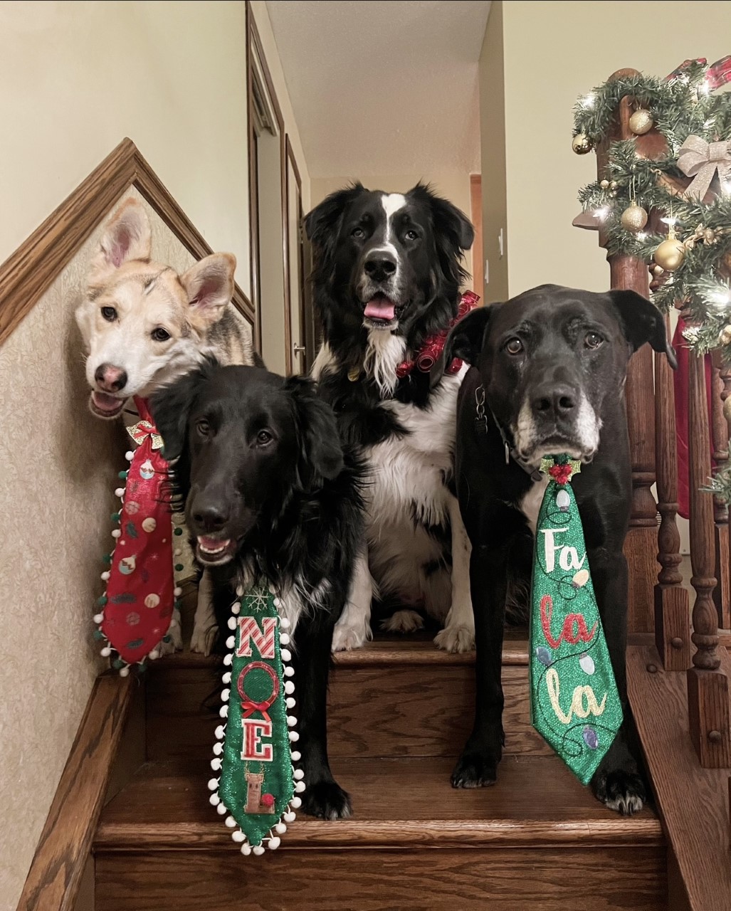 — Stephanie Goudie