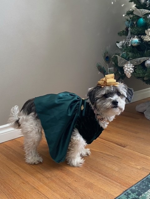 — Meghann Limongiello, Calgary