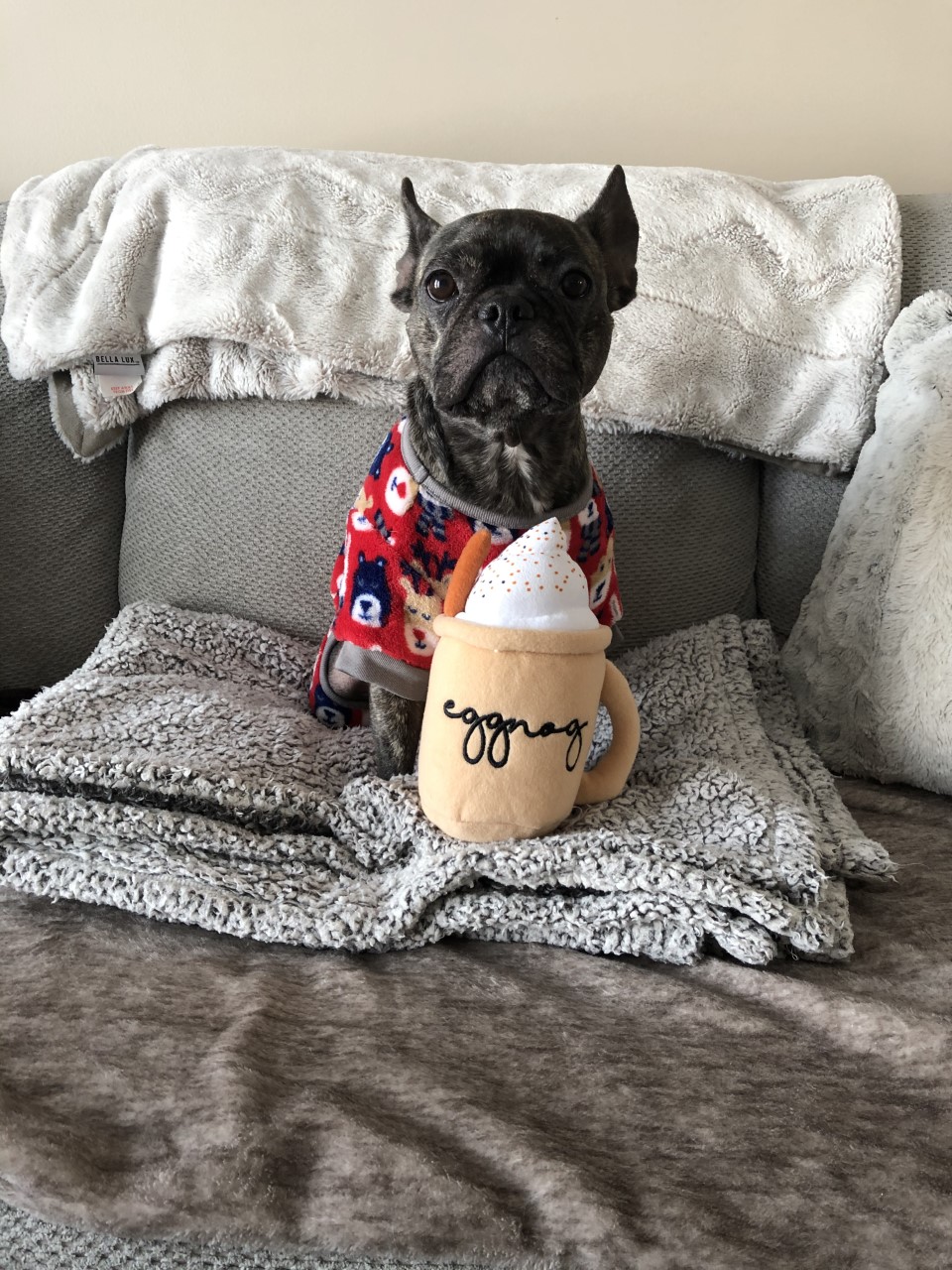 — Marisa Jensen, Fort Saskatchewan, Alta.