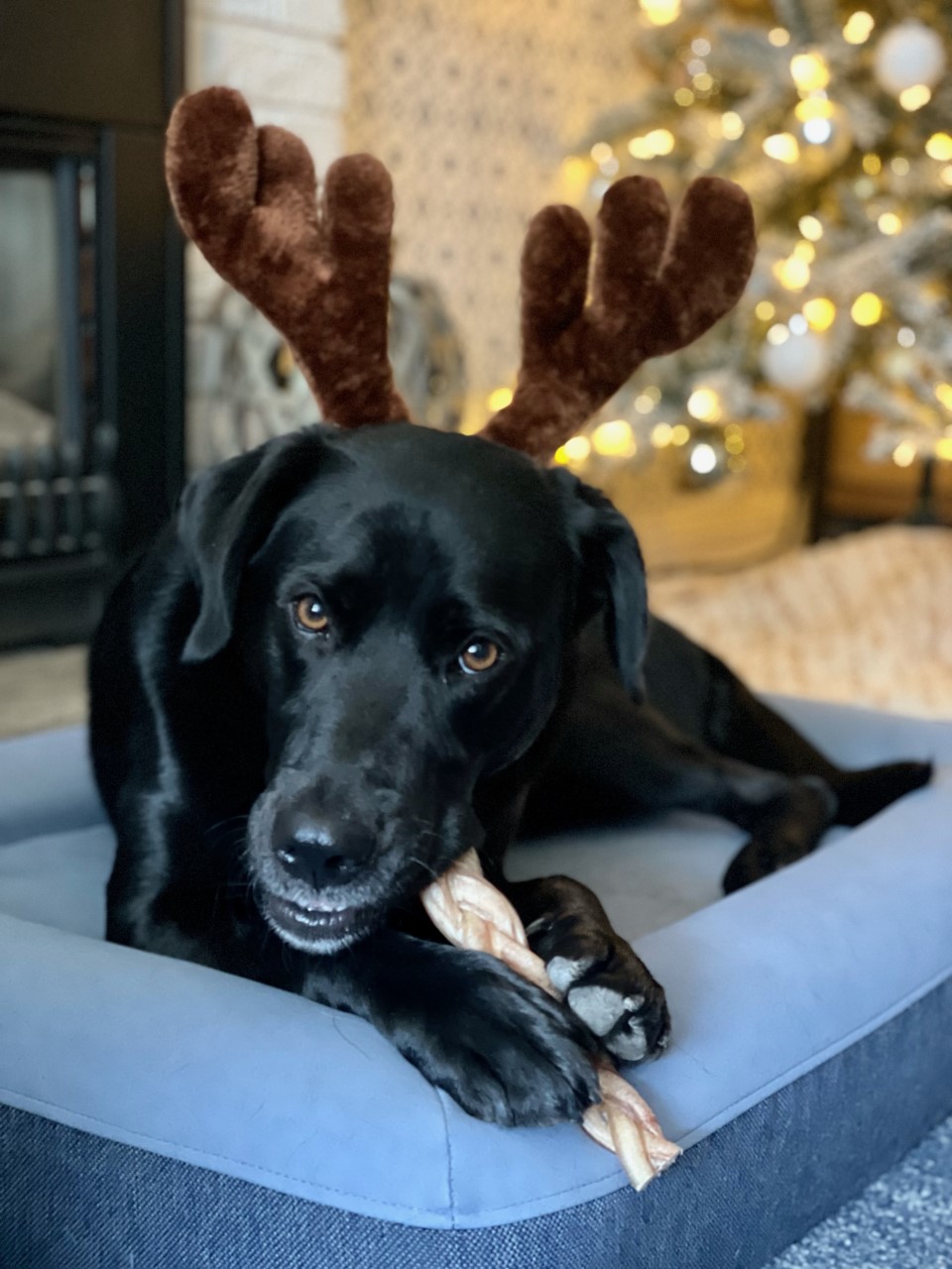 — Michelle Wagland