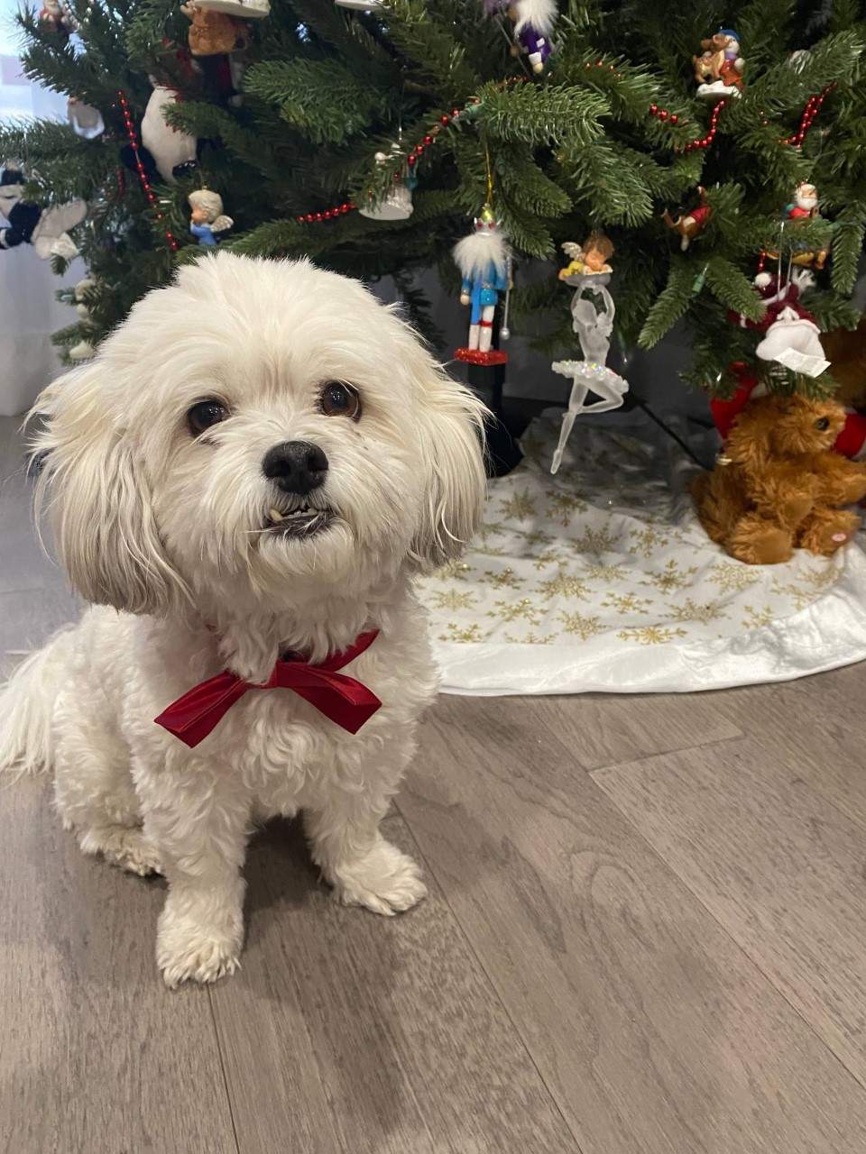 — Anna D., Toronto
