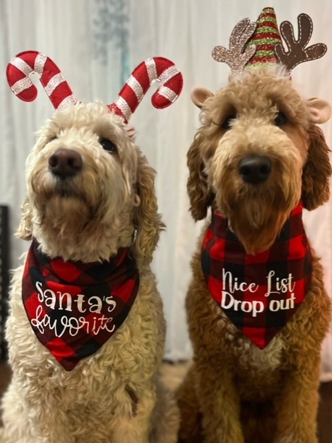 — Charlan McDonald, Peterborough, Ont.