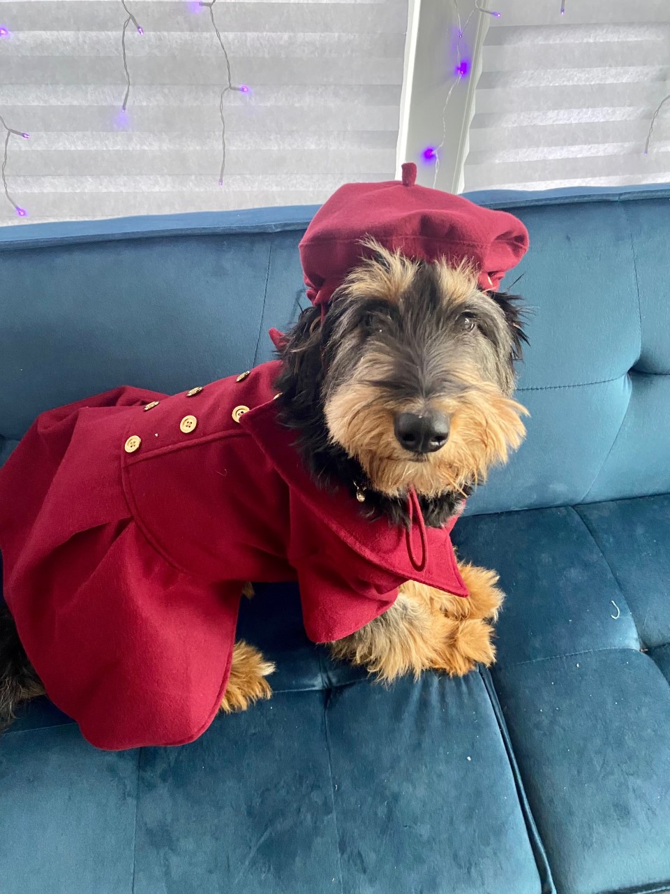 — Sophie Sarrazin, Moncton, N.B.