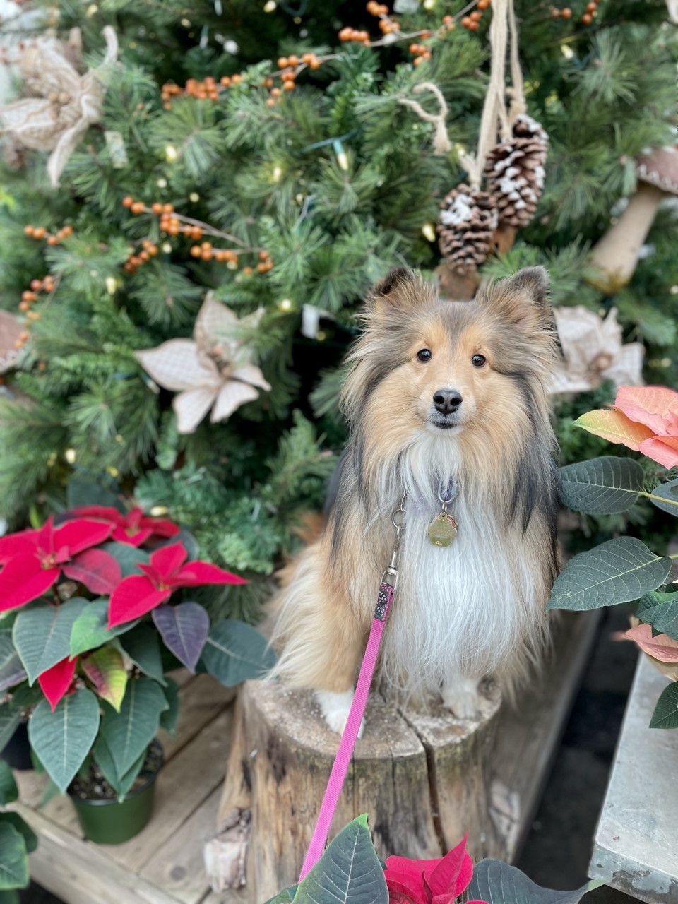 — Marlene Petersen, Langley, B.C.