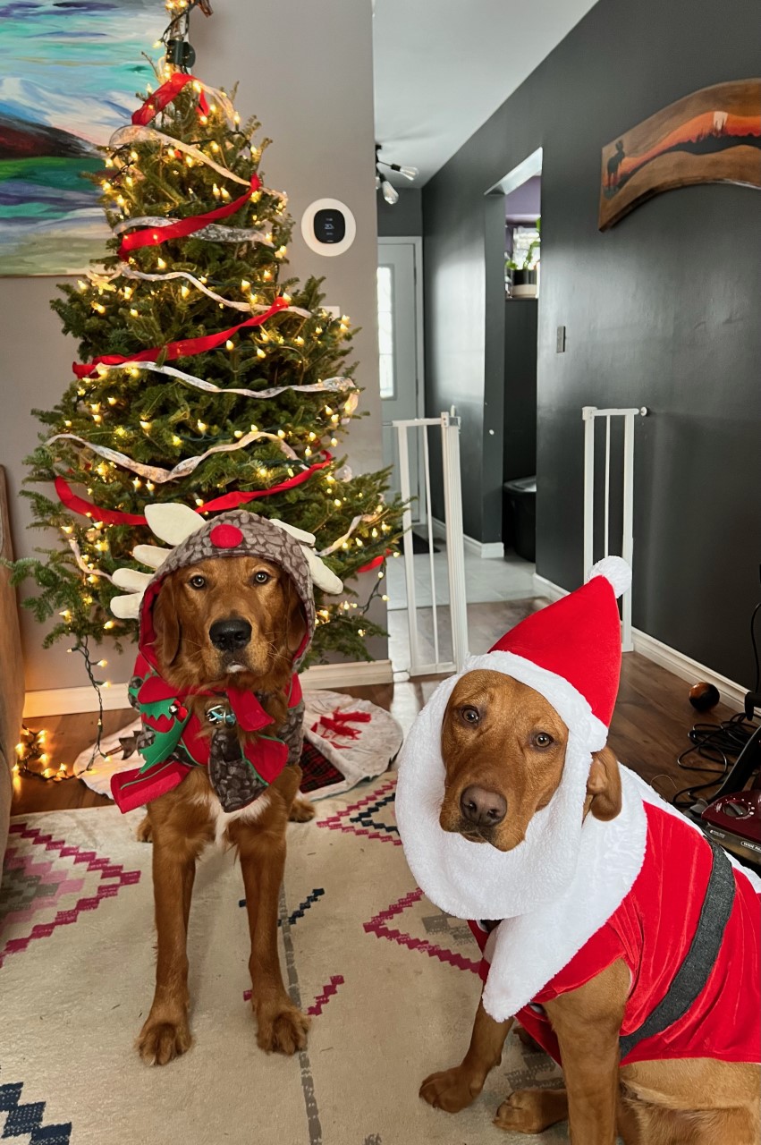 — Krystle Gauthier, Kingston, Ont.