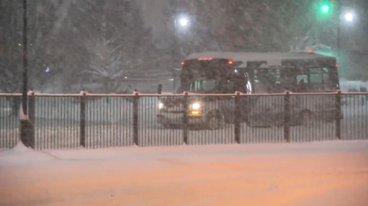 TransLink has activated its snow plan for Saturday.