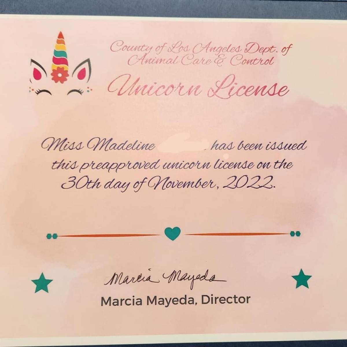 A unicorn license entitling Madeline to house a unicorn in her backyard, if she can find one.