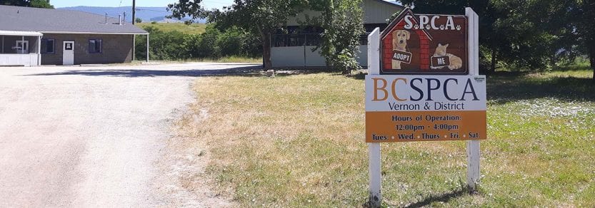 Vernon branch of the SPCA. 