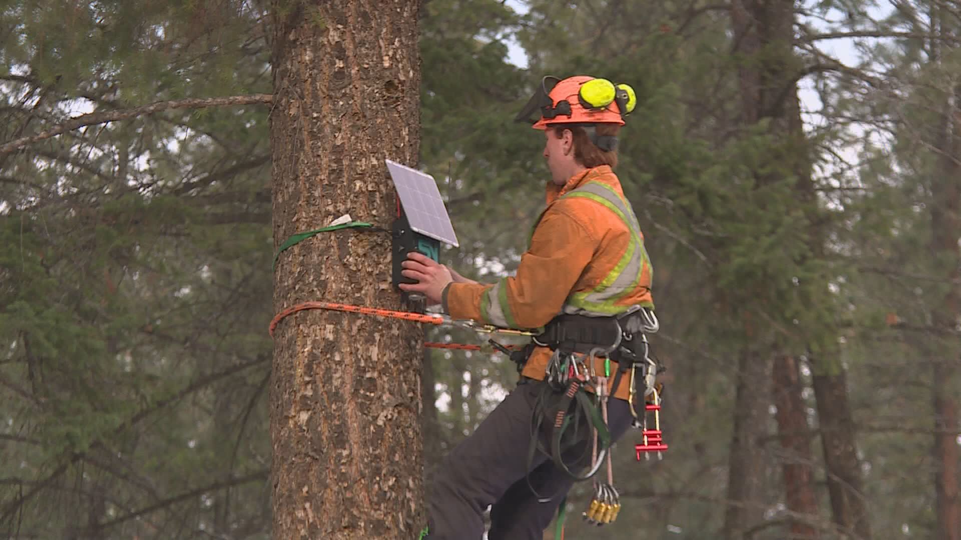Няколко малки пожара ще бъдат запалени по протежение на път