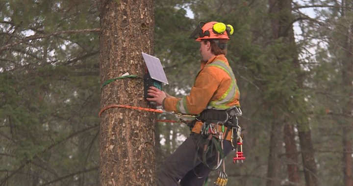 Early wildfire detection sensors installed near Vernon, B.C.