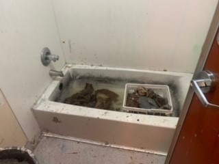 Conditions inside the Sakura So Residence on Powell Street in Vancouver's Downtown Eastside.