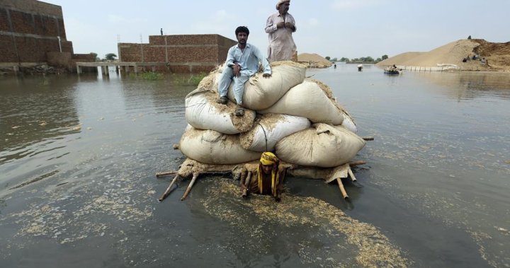 Canada to provide another $25M to Pakistan for flood recovery, climate resilience
