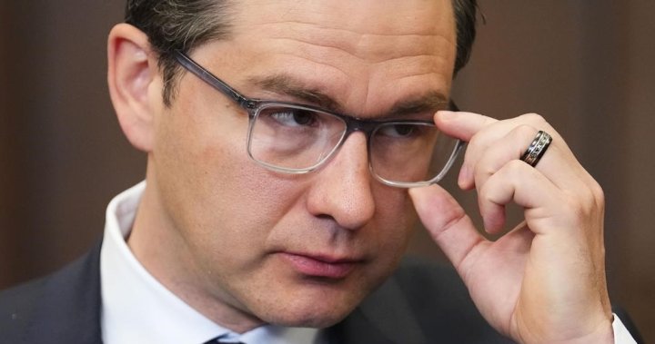 Poilievre and Tories will suspend TikTok accounts after ban