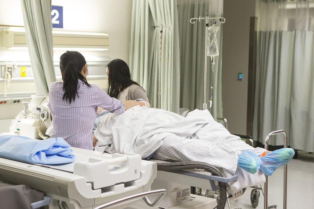 Province hopes to bring more international nurses to Alberta  | 24CA News