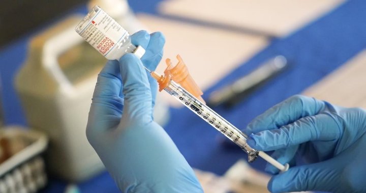 U.S. FDA advisors back bivalent COVID vaccine for initial series, boosters – National | Globalnews.ca