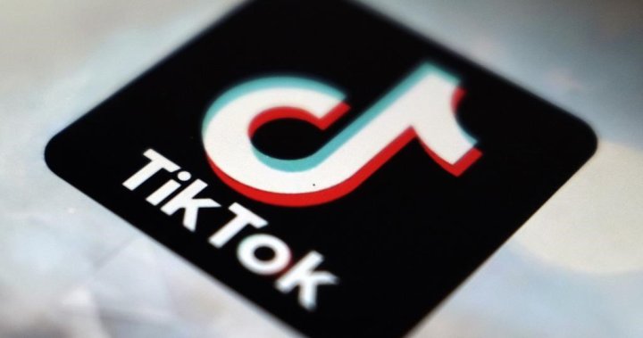 Is TikTok a risk to Canadian privacy? A federal committee wants to find out