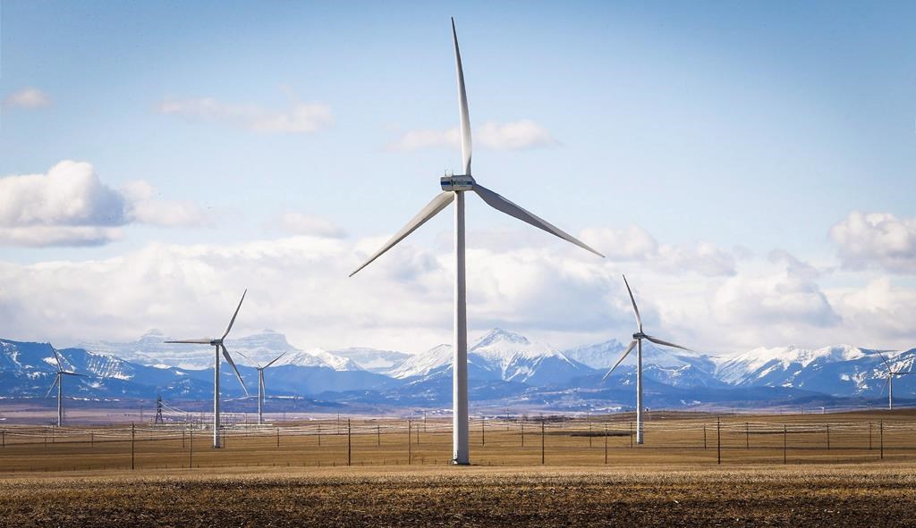 TransAlta cancels wind power project over new Alberta government rules
on development