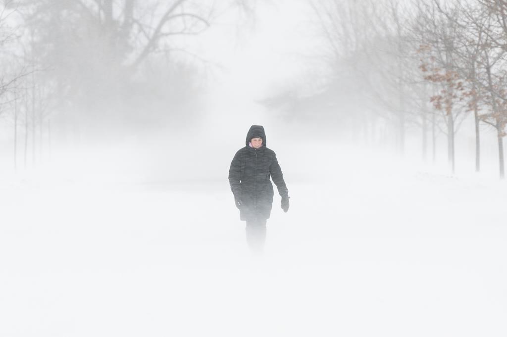 A person walks through the Central Experimental Farm during strong winds and snow squalls in Ottawa, Saturday, Dec. 24, 2022. THE CANADIAN PRESS/Spencer Colby.