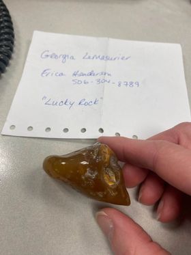 Henderson received this photo from an Air Canada employee who followed up on their lost item report.