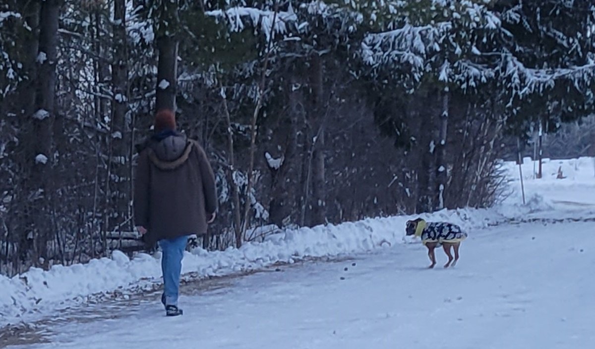 Wellington OPP are looking to identify man and dog seen at Guelph Lakes Sports Park.