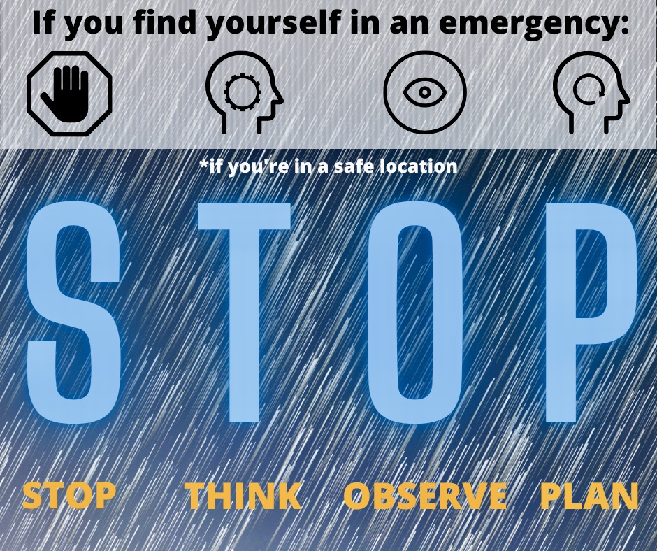 Lost in the woods? Stay put and call 911, says B.C. Search and Rescue - image