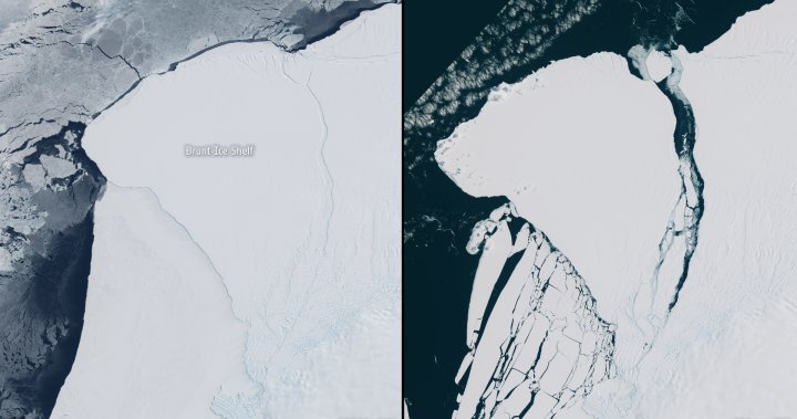 ‘Enormous’ iceberg over 2x the size of Toronto breaks off from Antarctica
