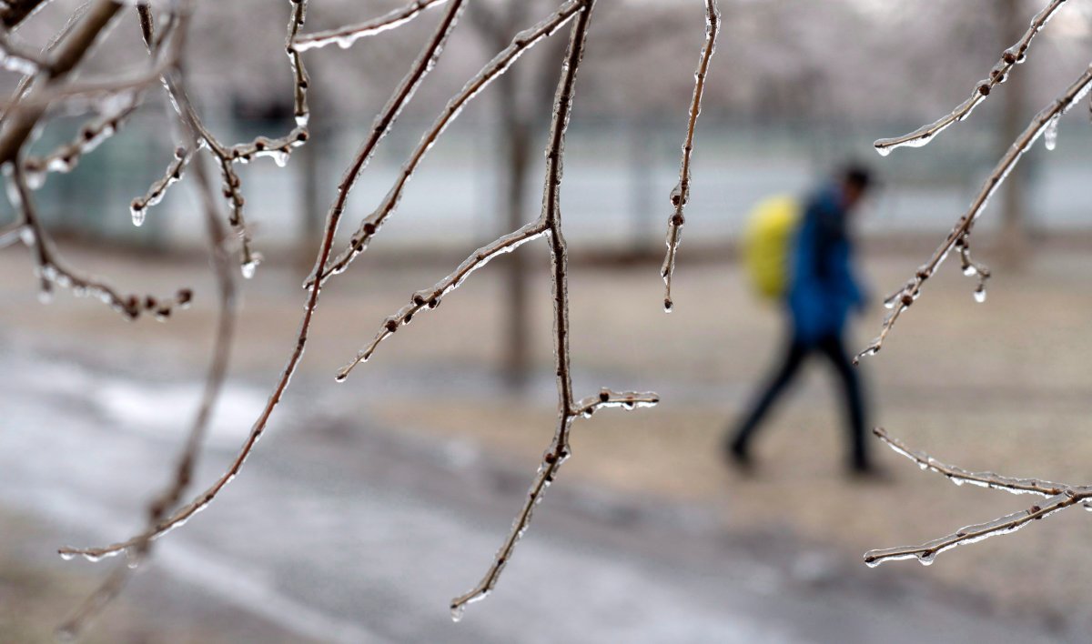 A man walks through a park following freezing rain Monday, April 16, 2018 in Montreal.