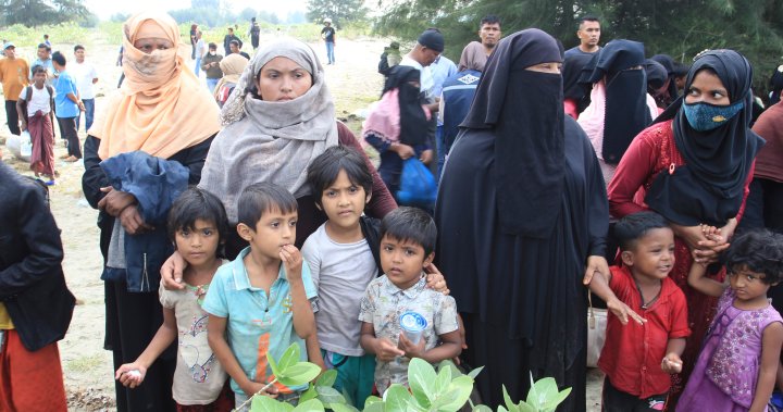 Hundreds of Rohingya refugees arrive in Indonesia looking for new opportunities