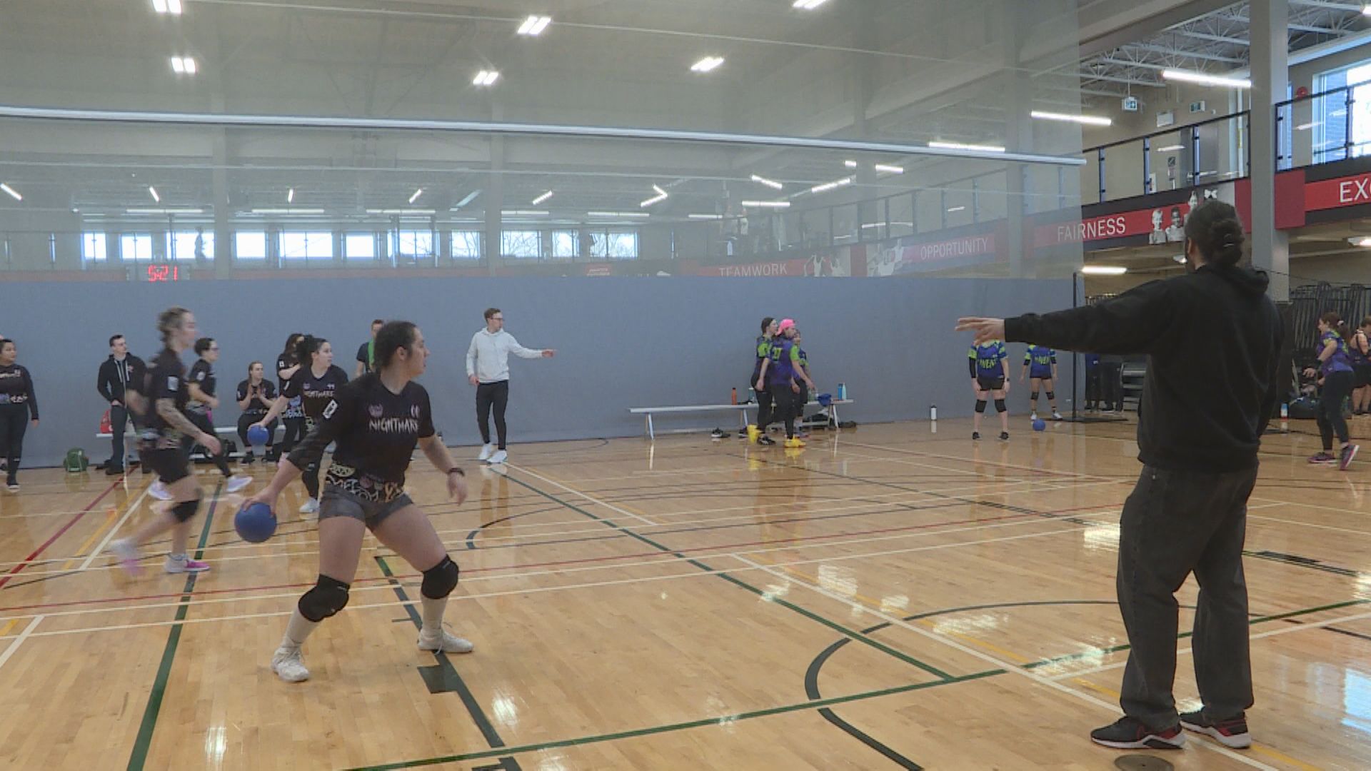 Dodgeball growing as competitive sport in Manitoba – Winnipeg | 24CA News