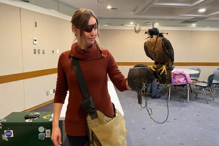 Saskatchewan’s open skies make the perfect spot for falconry