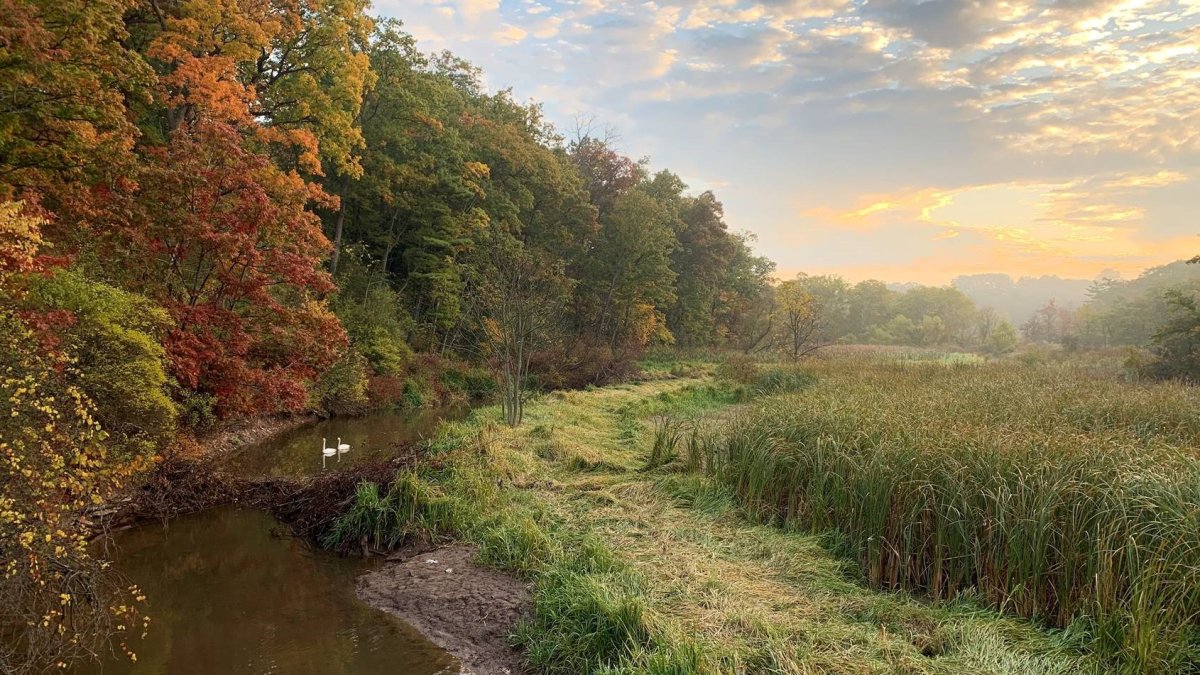 An alliance of land-owning organizations in Hamilton and Burlington is getting financial help from the federal government for a pilot project aimed at protecting local biodiversity between Cootes Paradise and the Niagara Escarpment.