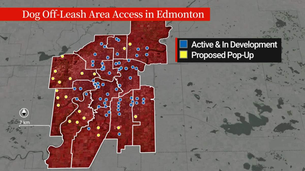 Up to 30 pop-up dog parks to be created across Edmonton as part of pilot project - image