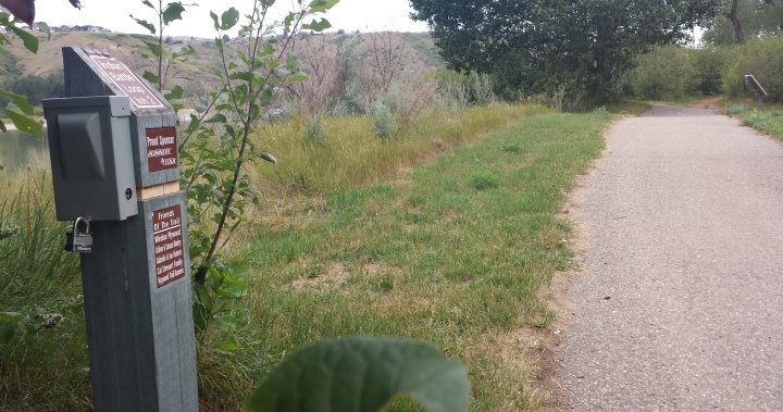 Lethbridge sees drop in park and pathway use in 2022: city