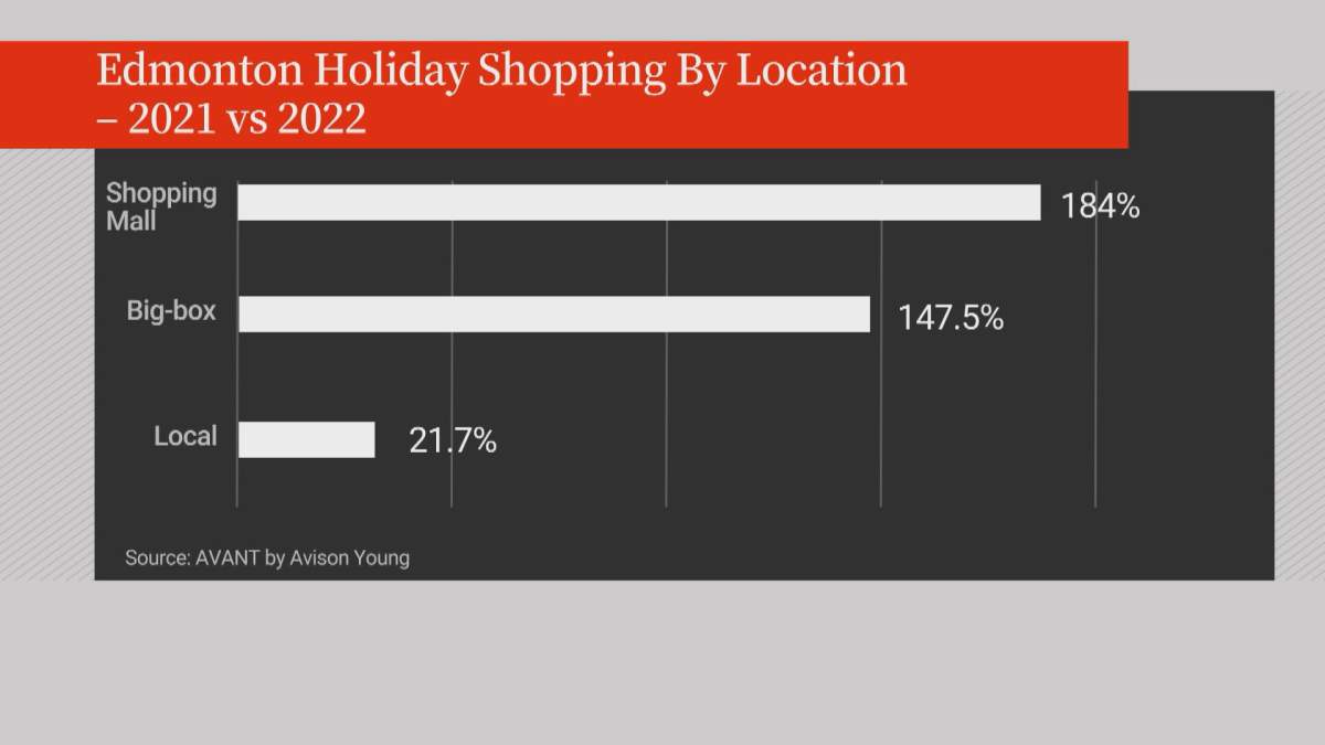 Edmonton shoppers overwhelmingly visited malls, box stores over local at Christmas: Study - image