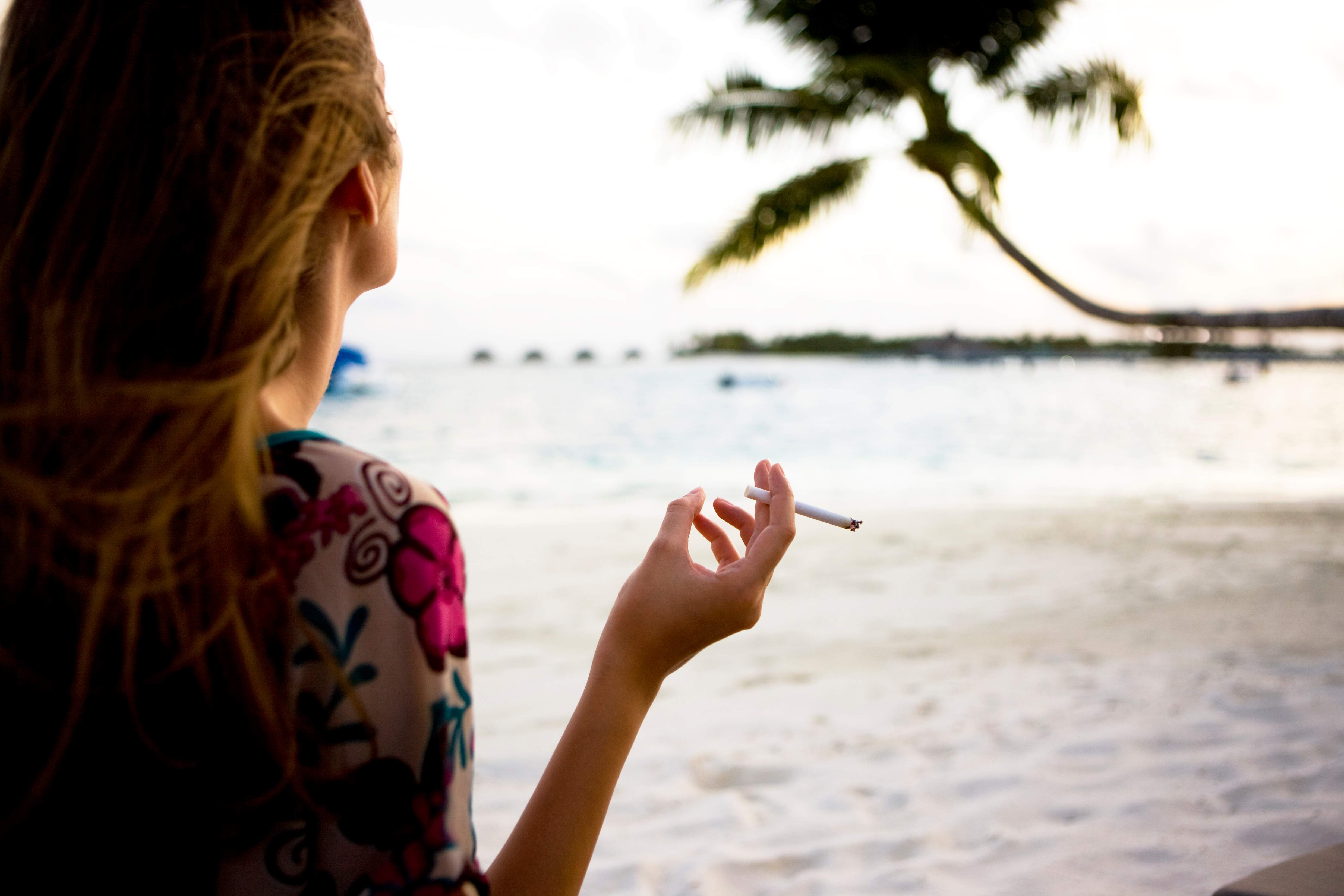 herbal cigarettes without nicotine Herbal Cigarettes | Stock Image